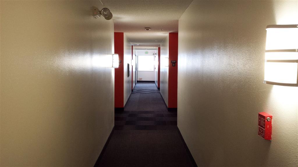 Motel 6-San Antonio, Tx - South Ανέσεις φωτογραφία